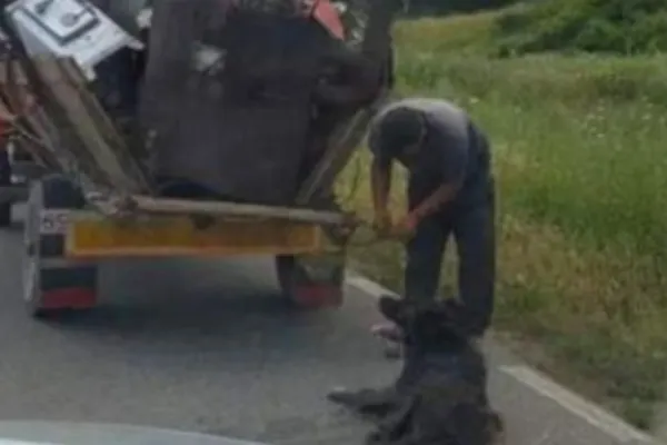 Un tânăr care a târât un câine după căruță până a murit, reținut de polițiști