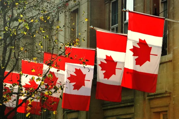 Canada propune o bancă pentru apărare înainte de Summit-ul NATO de la Ankara
