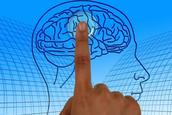 Alimentul banal care desfundă arterele și previne accidentul vascular cerebral