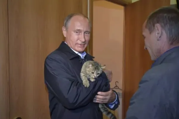 TikTok și-a suspendat o serie de servicii în Rusia, ca urmare a legii date de Vladimir Putin