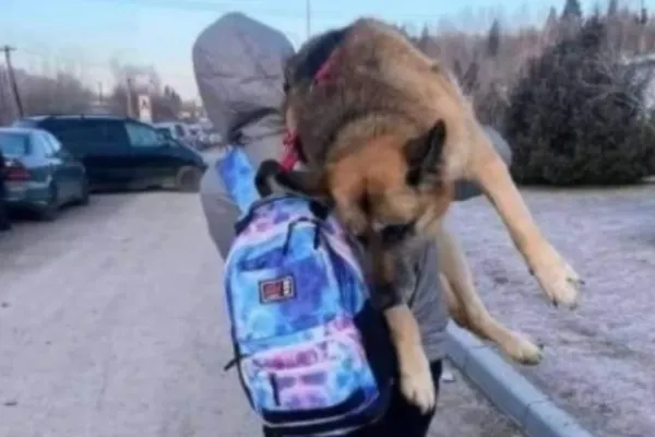 O femeie din Ucraina şi-a cărat 17 kilometri câinele pe umăr: Nu l-am putut abandona - FOTO