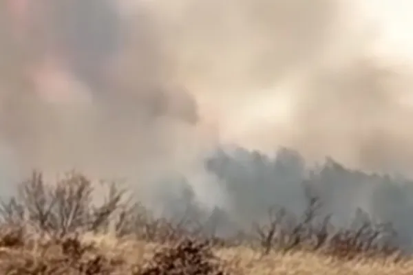 VIDEO Alertă în județul Buzău, incendii uriașe de vegetație în zona Breaza. Poluarea, comparabilă cu cea din Ucraina