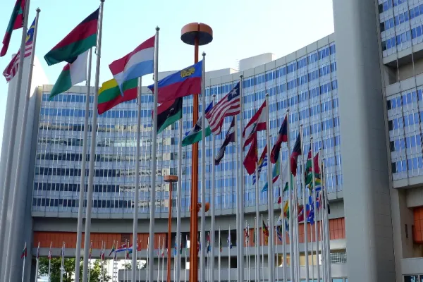Reuniune a Consiliului de Securitate al ONU privind armele biologice solicitată de Moscova - Ce acuzații se fac