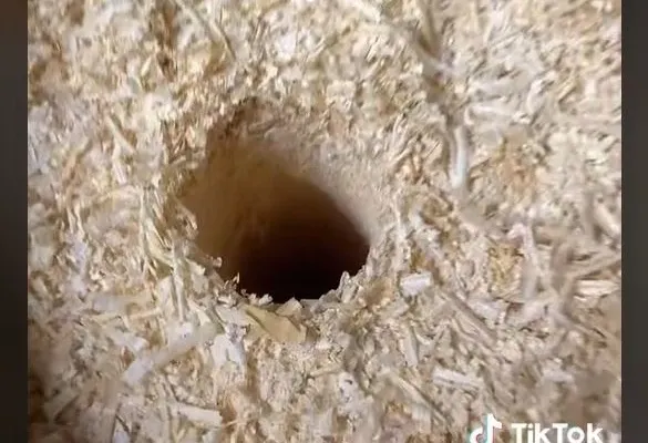 VIDEO – Experimentul inedit al unui român – A făcut o gaură în mijlocului unui butoi plin de rumeguș – La ce folosește