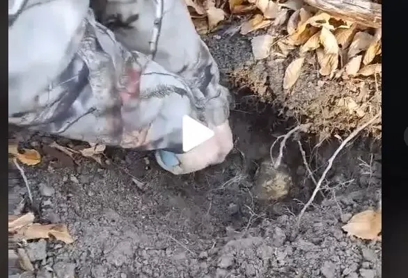 VIDEO – Un român a dat lovitură – A găsit în pământ ceva mai valoros decât aurul – Totul a fost filmat și clipul e viral