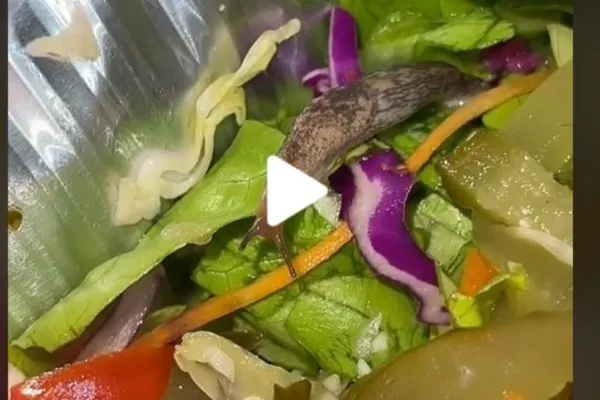VIDEO – Ce a putut să găsească o cântăreața în salata comandată de la un restaurant din centrul Bucureștiului: Cum să nu-ți fie rău?