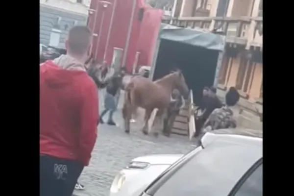 Incident revoltător: Cal bătut la parada junilor din Brașov. Polițiștii fac cercetări