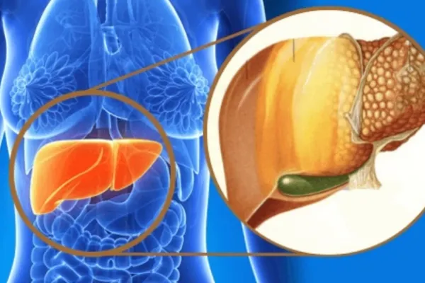 Alimentele pe care trebuie să le incluzi în alimentație pentru a scăpa de toxinele de la masa de Paște