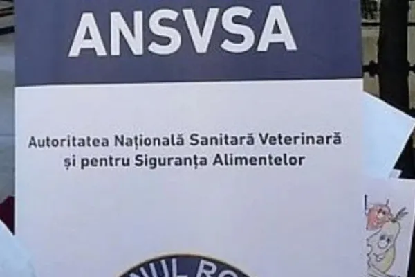 Guvernul face angajări la ANSVSA, pentru controlori în vămi. Unde se scot la concurs posturile