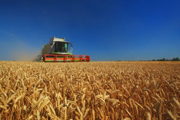 Poziția oficială a României în dosarul importurilor de produse agroalimentare din Ucraina. MAE vine cu clarificări