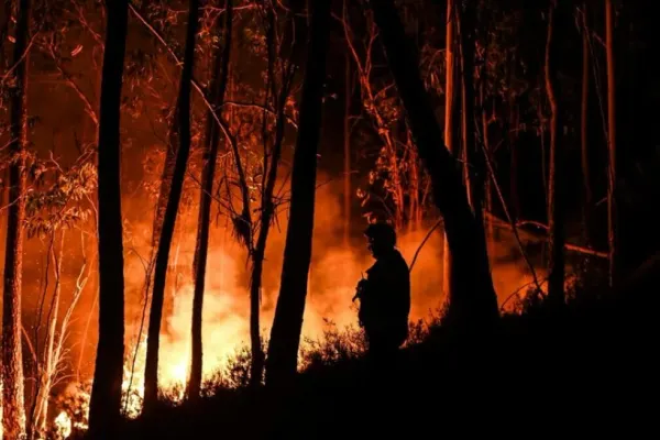 Accident aviatic: Un elicopter s-a prăbușit din cauza incendiilor de vegetație