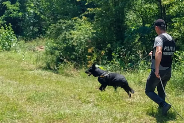 FEMEI dispărute, căutate de zile întregi în Gorj și Dolj - Operațiune amplă cu DRONĂ și câini polițiști la sfârșit de săptămână