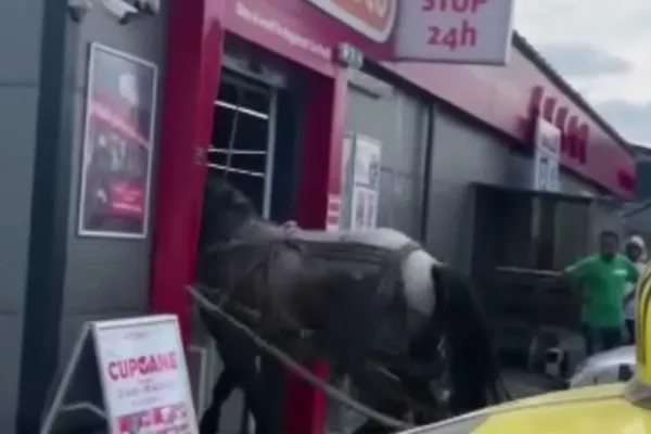 S-a supărat pe polițiști și a intrat cu căruța în magazin - VIDEO VIRAL