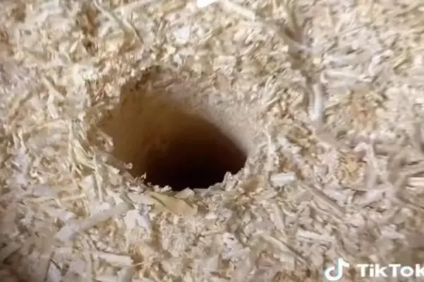 VIDEO – Experimentul inedit al unui român – A făcut o gaură în mijlocului unui butoi plin de rumeguș – La ce folosește