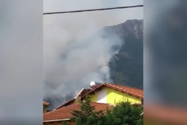 Bărbatul care ar fi incendiat insula Thassos, reținut de poliție: ce au găsit polițiștii în mașina sa