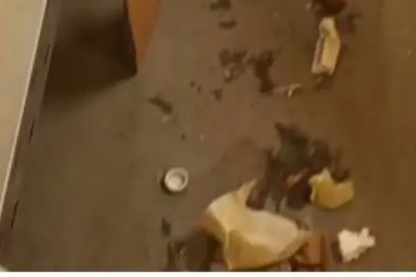 Un restaurant și un supermarket din Giurgiu, închise temporar de ANPC – nereguli grave – FOTO