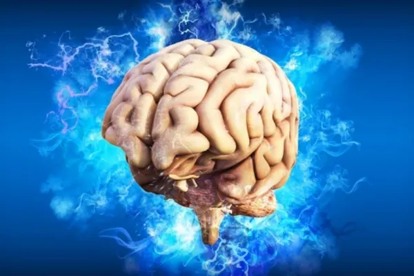 Care sunt cele mai toxice alimente pentru creier! Secretele unui reputat medic neurochirurg