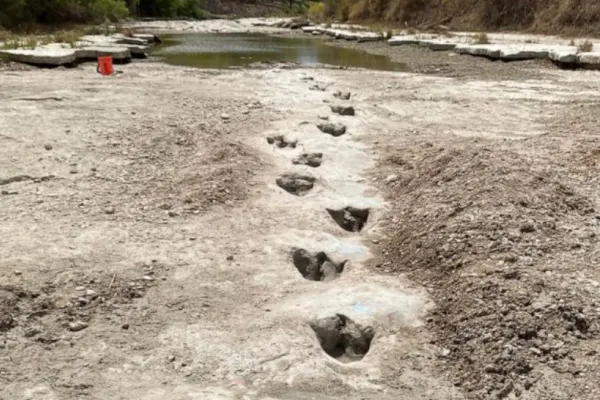 Urme de dinozaur vechi de 113 milioane de ani, descoperite după ce un râu a secat din cauza secetei - FOTO