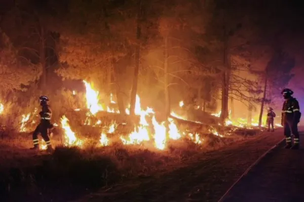 Incendiu de pădure în Germania, după o explozie la un depozit de muniție - FOTO