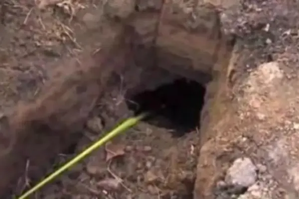 Au găsit o gaură în curtea casei. Se auzeau sunete de acolo. Au ÎNGHEŢAT când au văzut cine a ieşit