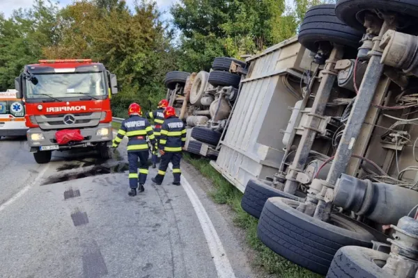 Accident grav în Vâlcea - Un camion plin cu animale s-a răsturnat în afara carosabilului