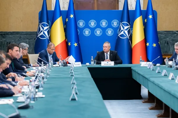 Anchetă explozivă după ce Guvernul a plafonat prețul lemnului de foc - Mafia pădurilor, ajutată