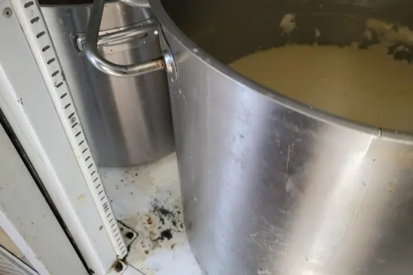 Imaginile groazei - Rugină, mucegai și gândaci în bucătăriile mai multor restaurante