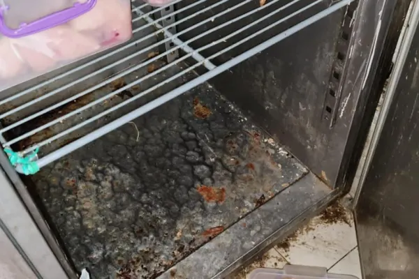 Mizerie de nedescris într-un cunoscut restaurant chinezesc din București. Ce a descoperit ANPC - VIDEO
