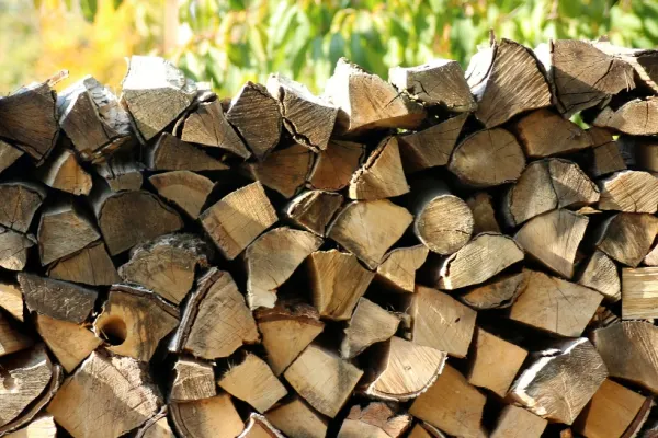 Guvernul vrea să ELIMINE plafonarea pentru lemnul de foc. Ce ALTERNATIVĂ le oferă românilor