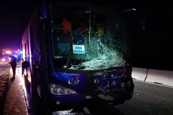 Accident grav: Un autocar în care se aflau 5 adulți și 43 de copii a acroșat un taur - FOTO