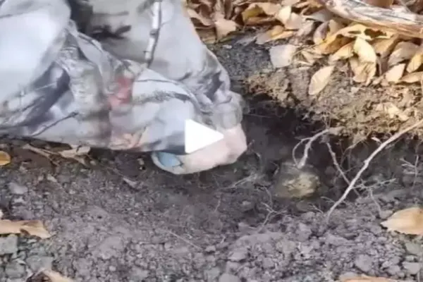 VIDEO – Un român a dat lovitură – A găsit în pământ ceva mai valoros decât aurul – Totul a fost filmat și clipul e viral