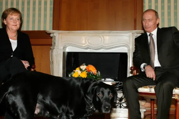 Putin, dezamăgit de Merkel: "Poate ar fi trebuit ca războiul să înceapă mai devreme"