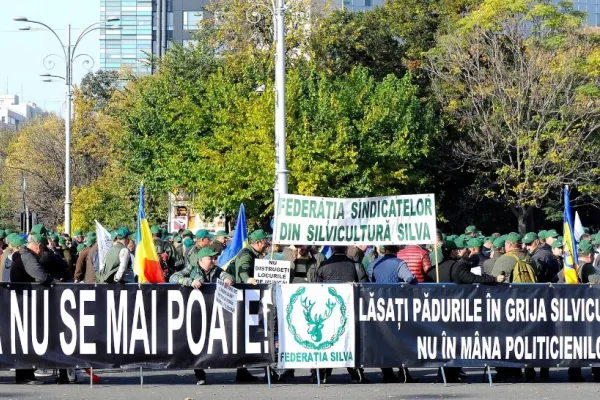 Protest de amploare la Guvern: MII de oameni NU vor privatizarea pădurilor - JAFUL devine legal după măsurile de la Bruxelles