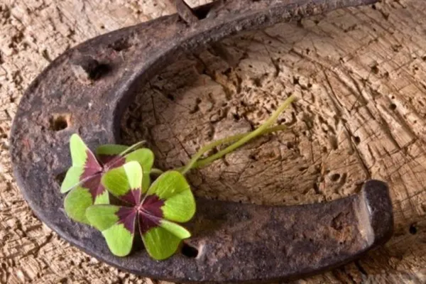 Horoscop 12 ianuarie. Zodia care pune mâna pe o moștenire uriașă! Lipsită de scrupule