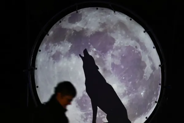 Luna LUPULUI. Puneți-vă dorințele potrivite și este posibil să se îndeplinească