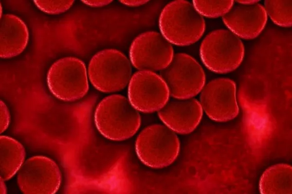 Alimentele care curăță vasele de sânge - Ar trebui introduse în dietă și consumate cel puțin o dată pe săptămână
