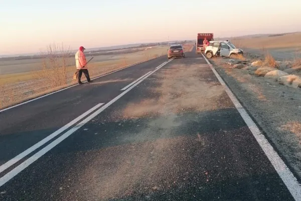 Accident înfiorător în Banat. O turmă de oi, spulberată de o mașină - FOTO