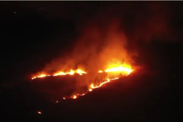 Incendiu puternic de vegetație în Deltă: peste 30 de hectare au ars! Imagini din dronă cu fâșia de foc