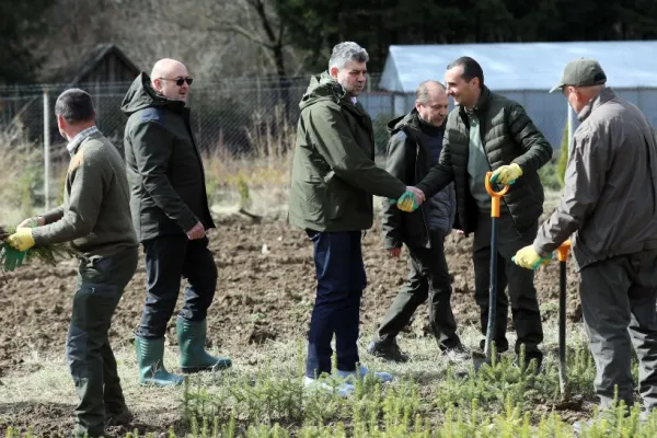 Ciolacu, de Ziua Internațională a Pădurilor: Cât timp PSD va fi la guvernare, niciun metru pătrat de pădure nu se va vinde