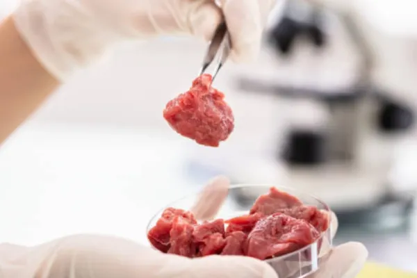 După ce a declarat război făinii din greieri, Italia interzice și carnea produsă în laborator