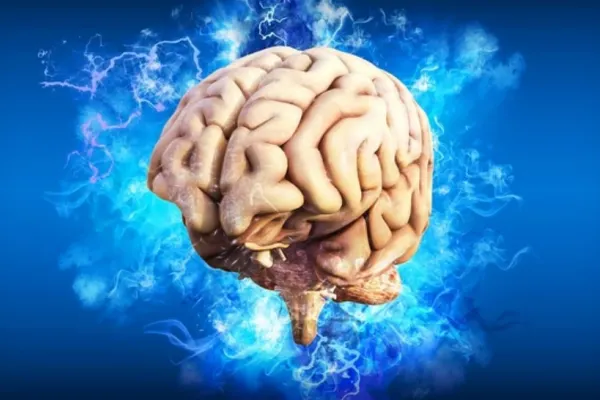 Cele mai toxice alimente pentru creier - secretele dezvăluite de un neurochirurg român