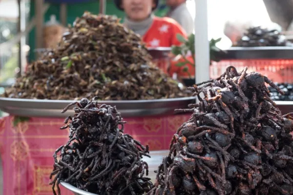 Este oficial: Noile reguli pentru vânzarea alimentelor din insecte în magazine au fost adoptate. Atenție la panourile de avertizare