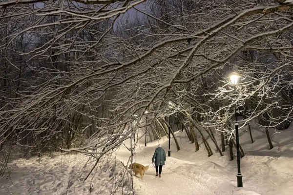 Strat de zăpadă de 41 de centimetri la Moscova. Imagini de poveste!