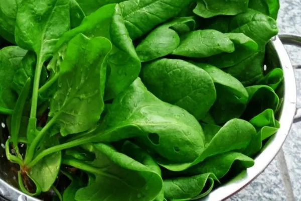 Spanacul și urzicile: BENEFICIILE superalimentelor la îndemâna tuturor