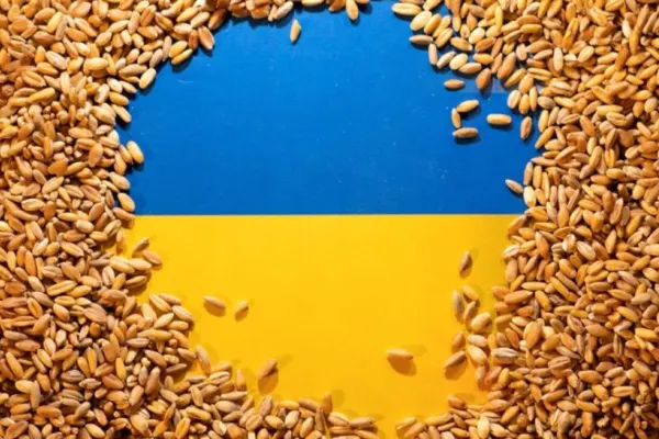 Probleme identificate la cerealele și produsele nonanimale din Ucraina - Anunțul ANSVSA după aproape 10 mii de controale