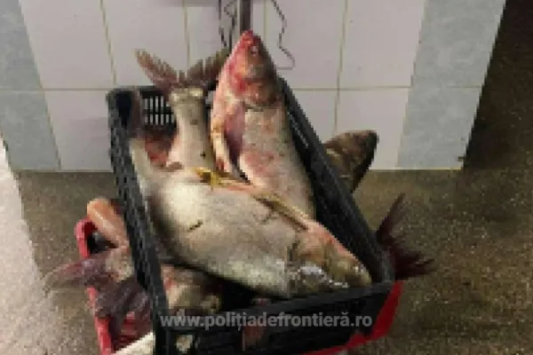 Vânătoare de braconieri la Marea Neagră. Captură impresionantă a polițiștilor de frontieră - incredibil ce au găsit în plase