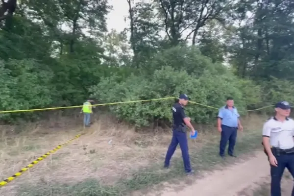 Panică în pădure: silvicultorii, atacați cu puștile de vânătoare! Au intervenit polițiștii și mascații