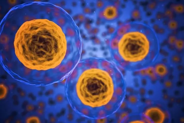 Alimentele care te protejează de cancer - Trebuie incluse în dieta ta neaparat