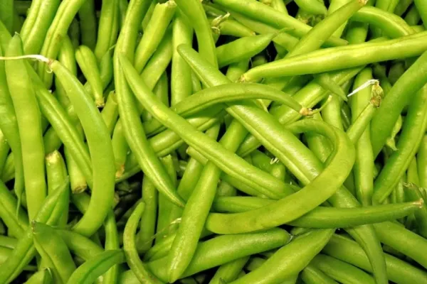 Fasolea verde, beneficii uimitoare pentru sănătate: de ce trebuie inclusă zilnic în alimentație