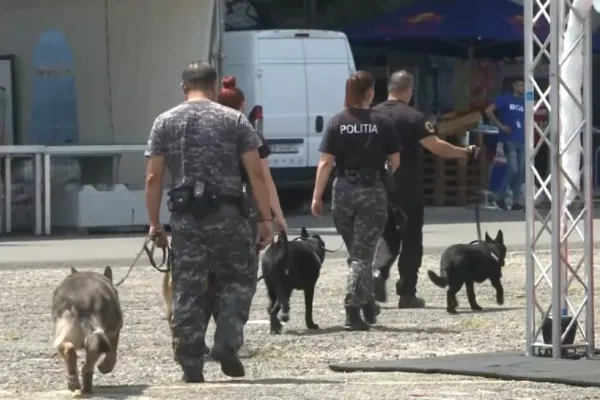 Festivalul SAGA. Poliția, în alertă. Razii la festival - ce caută polițiștii